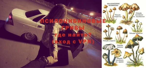стафф Белокуриха