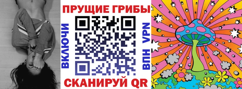 Псилоцибиновые грибы мухоморы  купить наркотик  Безенчук 